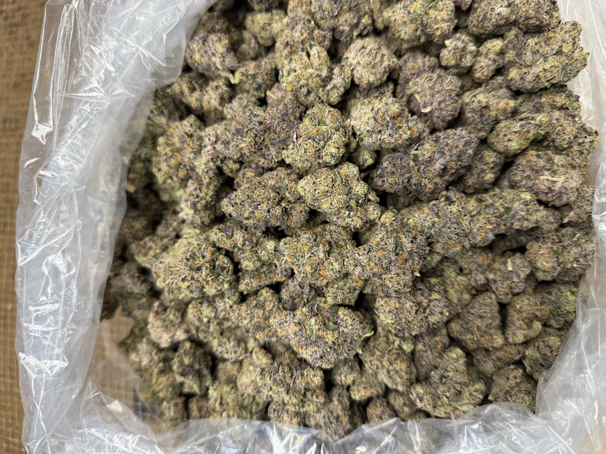 Papaya Bomb Flower